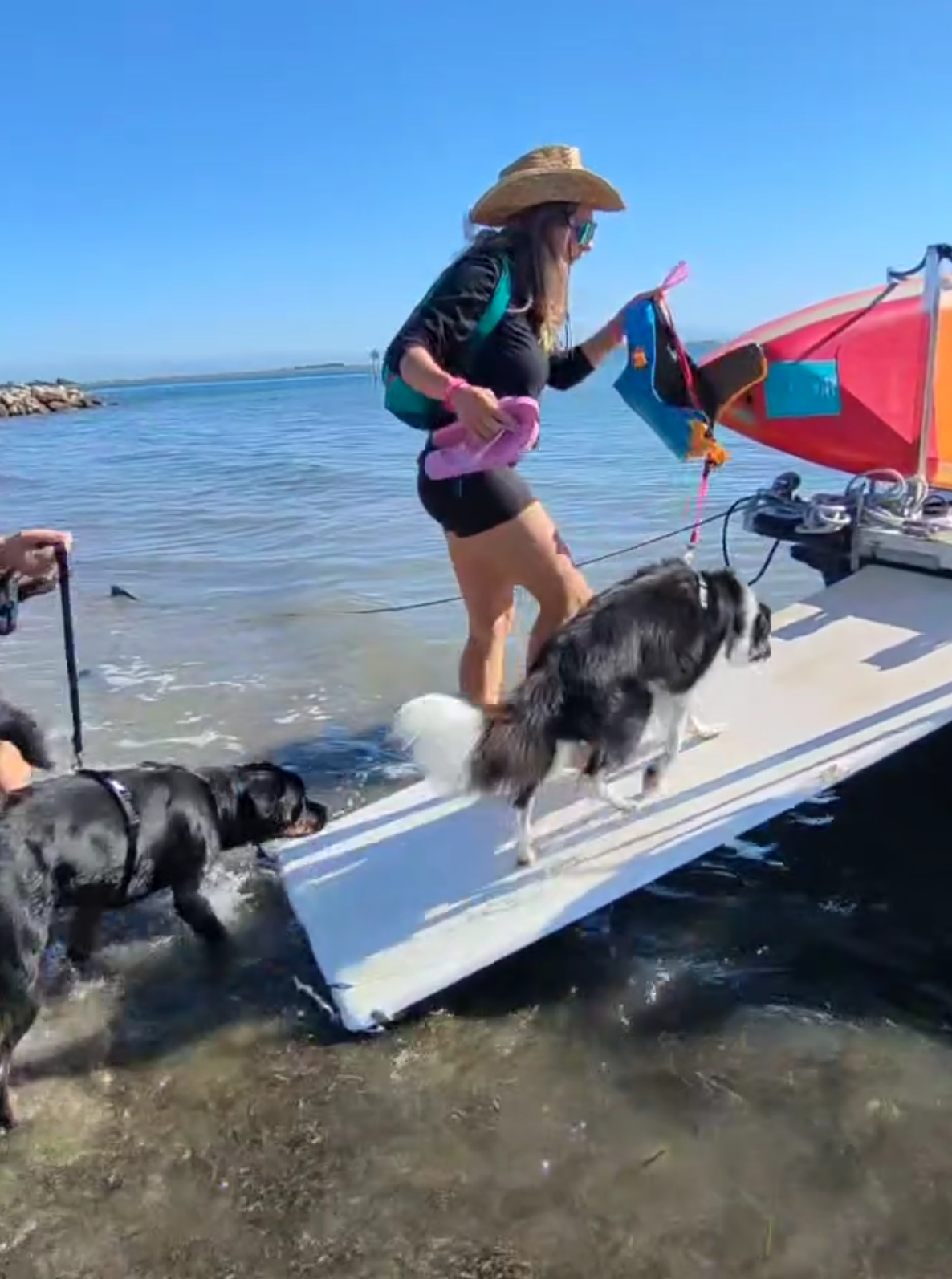 Una giornata speciale con dei clienti super speciali 🩵🐾🌊